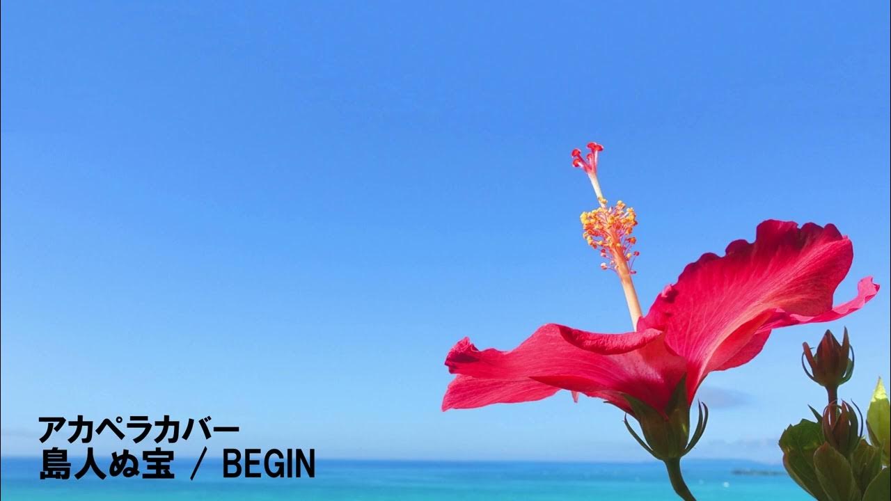アカペラカバー 島人ぬ宝 / BEGIN YouTube