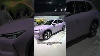 Proton e.MAS di MITEC KL