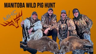 MHC  Manitoba Wild Pig Hunt