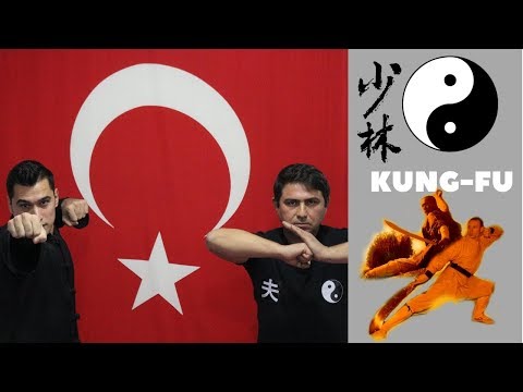 10 DAKİKADA KENDİNİZİ SAVUNMAYI ÖĞRENİN! (Shaolin KUNG FU )