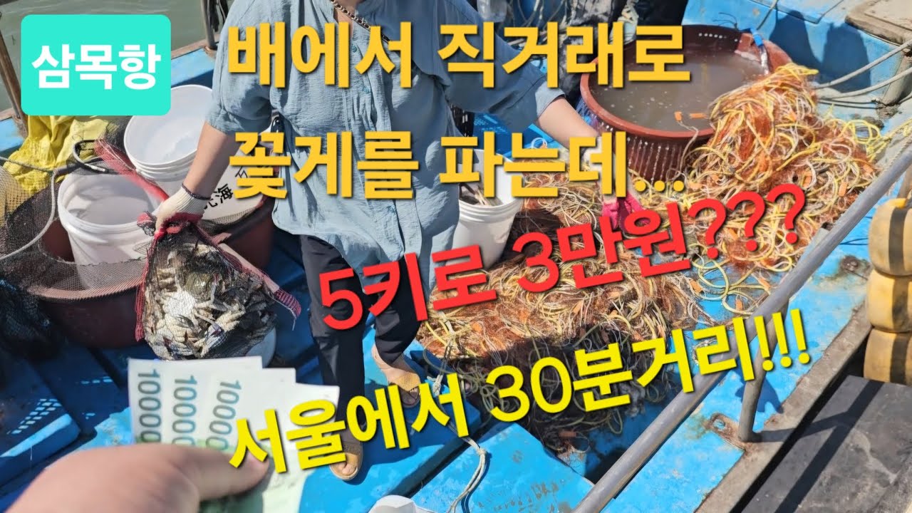 서울에서 30분거리인데 배에서 직거래로 꽃게를 5키로에 3만원!!??feat.삼목항선착장
