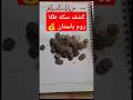 پیدا کردن سکه طلای روم باستان  عتیقه دفینه باستانشناسی