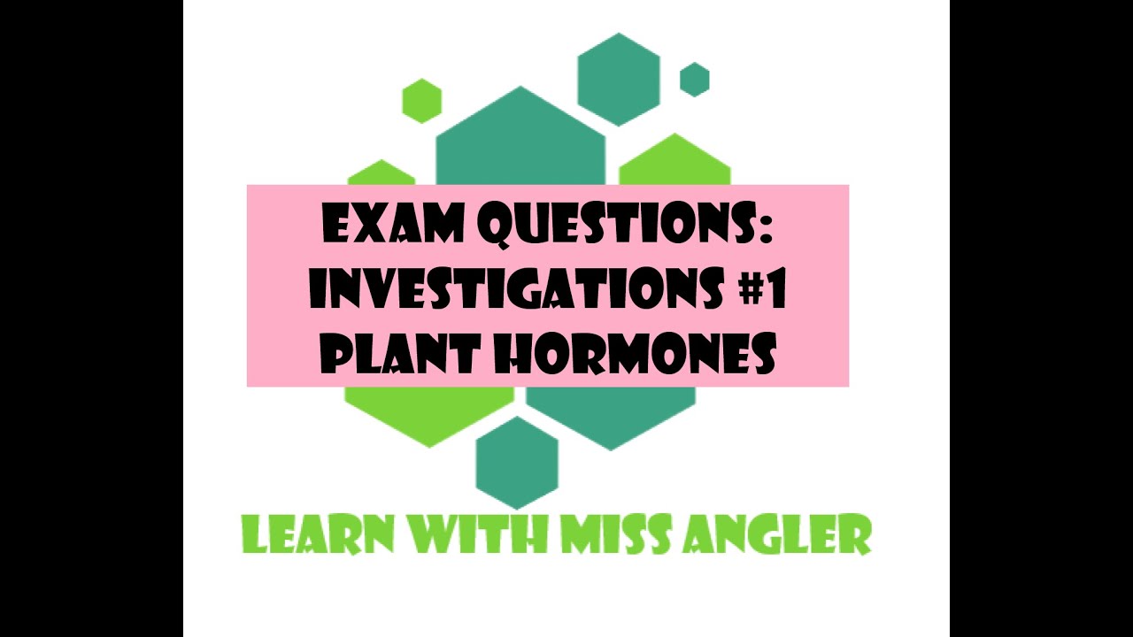 GR 12 EXAM QUESTION: Investigation questions #1 (plant hormones)