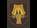 17 отдельная бригада РЭБ шеврон в/ч 11666 Хабаровск