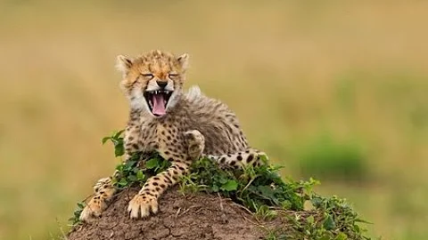 BEST FUNNY POST 7/21