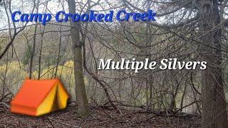 Metal Detecting Old Boy Scouts Camp