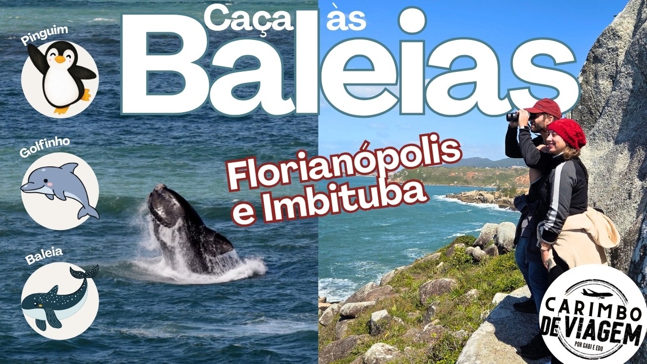 Nossa caça às baleias em Santa Catarina: de Florianópolis a Imbituba