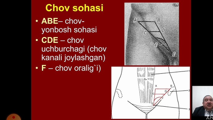 Men dushdagi kokrakli ayolni kordim va videoda uni sikdim. Mushuk urish