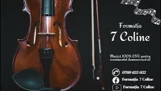 Formatia 7 Coline - I-auzi una, I-auzi doua - cover