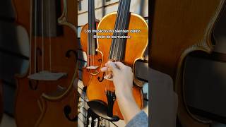 Aunque no lo crean varios clientes toman nuestros violines así 😭💔 #violin #viola #cello #musica
