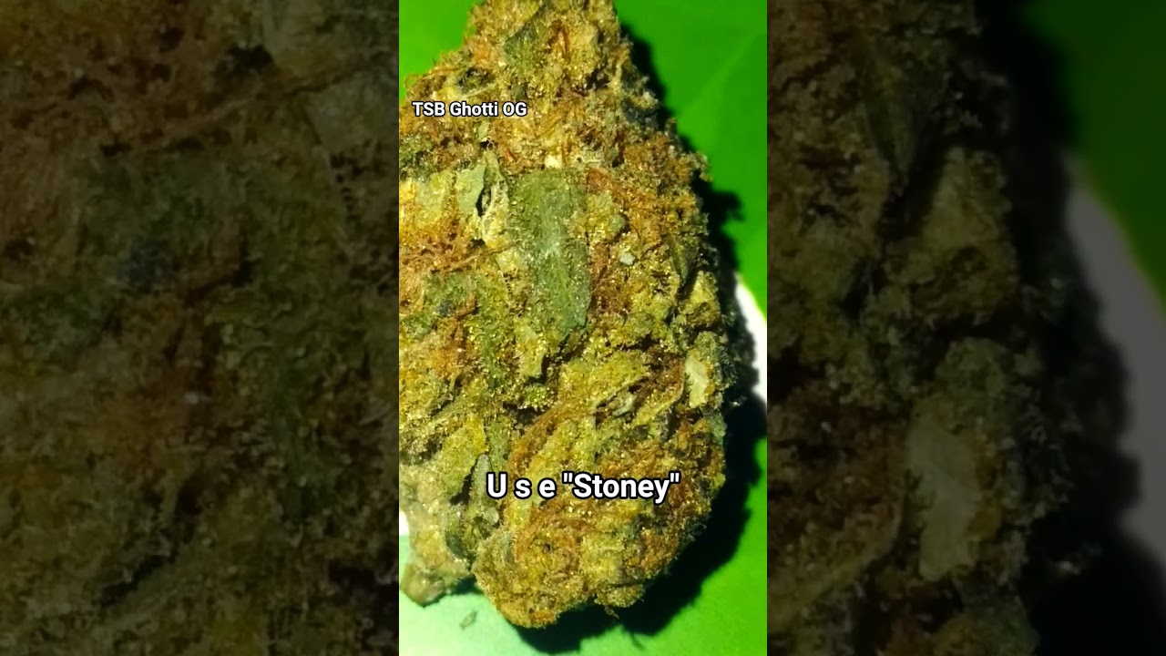 TSB Thca Don Gotti OG BUDGET Thca flower 