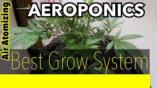 Aeroponic Cannabis  ( Fastest Grow System )