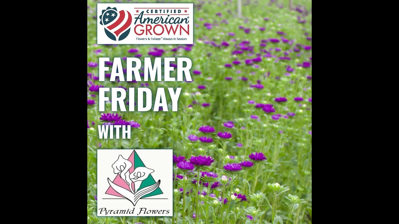 Farmer Fridays with Certified American Grown - Pyramid Flowers