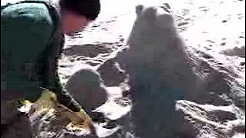 Polar Bear Plunge 2007 in Seaside Heights, New Jersey