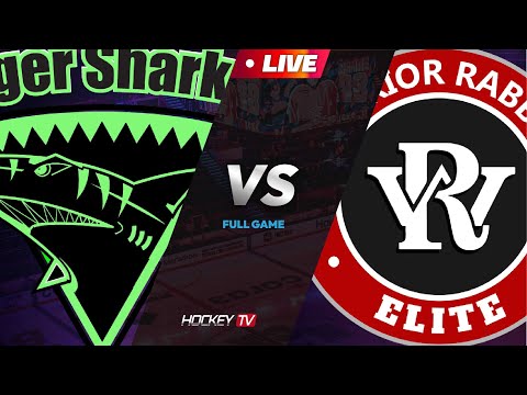 2023년 성북 노원 권역별 아이스하키대회 G12 타이거샥스 vs 래빗츠 [LIVE] 2023.12.26