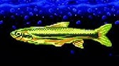 Sfc Fishing Game Umi No Nushi Tsuri 海のぬし釣り マンボウ Ocean Sunfish 曼波魚 海釣太郎 釣魚太郎 Youtube Sfc Fishing Game Umi No Nushi Tsuri 海のぬし釣り マンボウ Ocean Sunfish 曼波魚 海釣太郎 釣魚太郎 Youtube