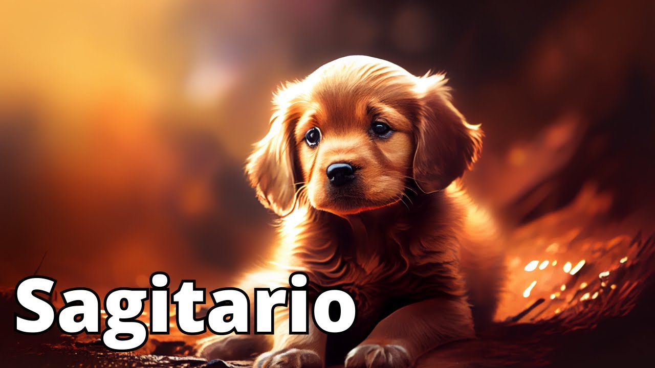 ♐SAGITARIO🔮Tu VIDA Da Un GRAN GIRO II Un GOLPE De SUERTE😃# ...