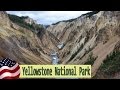 Qué ver en Yellowstone, Wyoming. Estados Unidos 2016