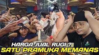 GILA ! MAS BAGUS BIKIN PRAMUKA PANAS !!! RATUSAN KACER BODY SULTAN DIJUAL SEMURAH INI