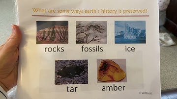 CC Cycle 3 week 23 Science