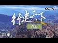 《行走天下——青海》草原守护者：才江与尕格的环保使命与牧民生活 EP01【CCTV纪录】