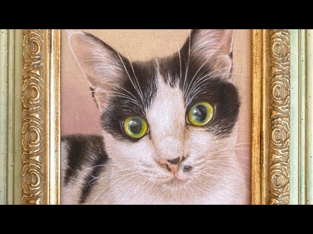 色鉛筆画【ハチワレ猫 / はち助くん】のメイキング動画♪ - YouTube