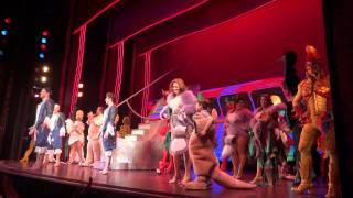 Video thumbnail of "Curtain call, closing show, Priscilla Queen of the Desert Broadway"