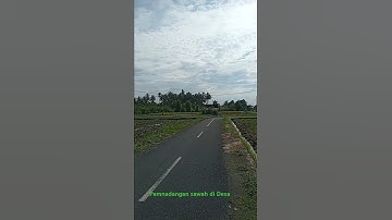 Sawah Dan Jalan Yang Cantik #nature #alam #sawah #gunung #desa #pedesaan #traveling #shorts