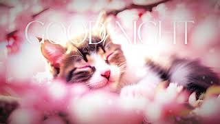 Good Night song🌙 | おやすみなさい | 좋은 꿈 꾸기를 No.59