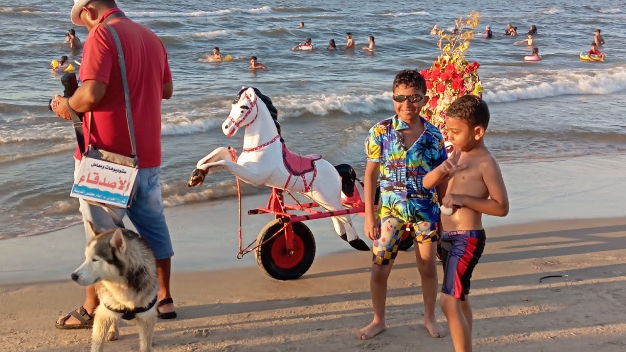 مصيف جمصه وجمالو2025 🏊 أسعار الشقق 🏊 الصورة مع الكلب ب35ج🏊 أسعار الشماسي والعبايات