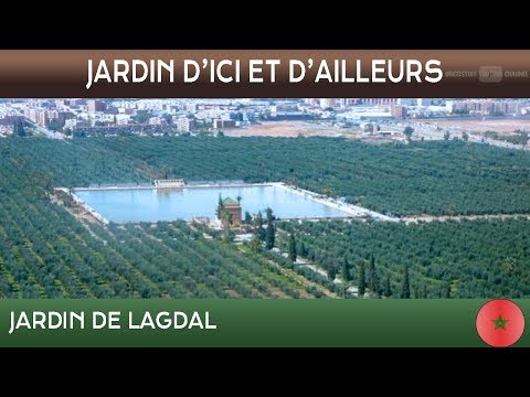 Vidéo: Jardins De La Ville