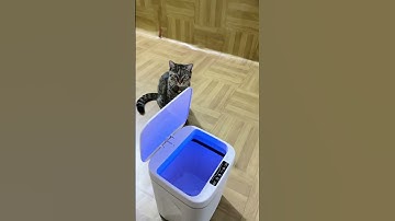 Thùng rác thông minh #review #shorts