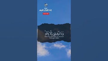 وما توفيقي إلا بالله | من سورة هود  #قراءة_خاشعة #راحة_نفسية