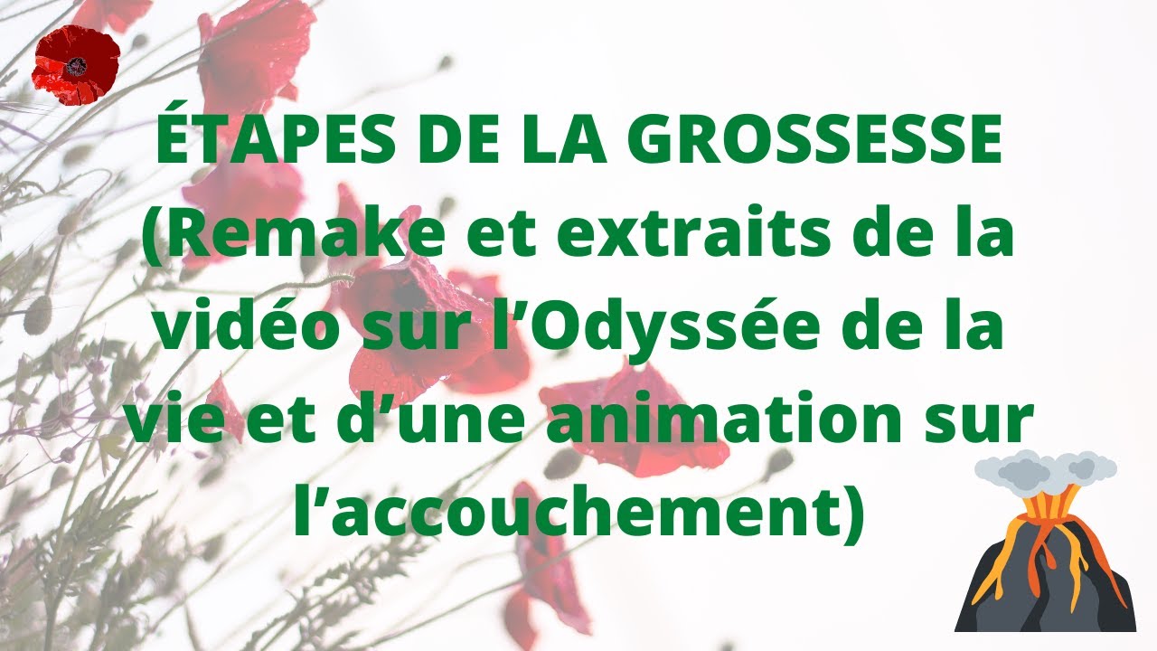Les étapes de la grossesse - YouTube