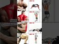 Best morning exercise for men and gym workout 💪🏻#fitness #home #workout ||NirajFitnessTrick||