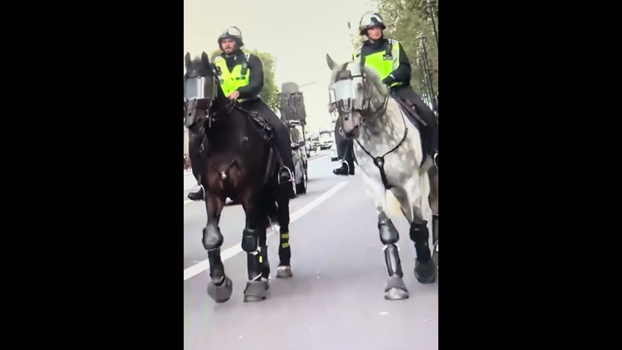 London Police Operation Culprit escapes to a local park 😀