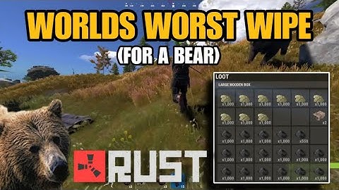 How a bear saved our wipe - Rust console edition