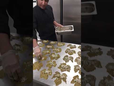 THE BEST GRAPE LEAVES | THE GOLDEN BLANCE