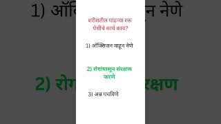 पांढऱ्या रक्त पेशींचे कार्य काय? | White Blood Cells Function in Marathi | GK Q&A #generalknowledge