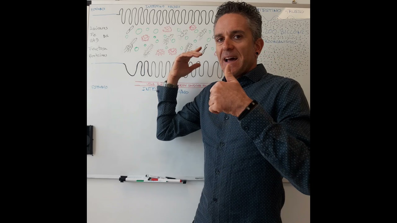 EN QUÉ CONSISTE EL TRATAMIENTO DEL SIBO