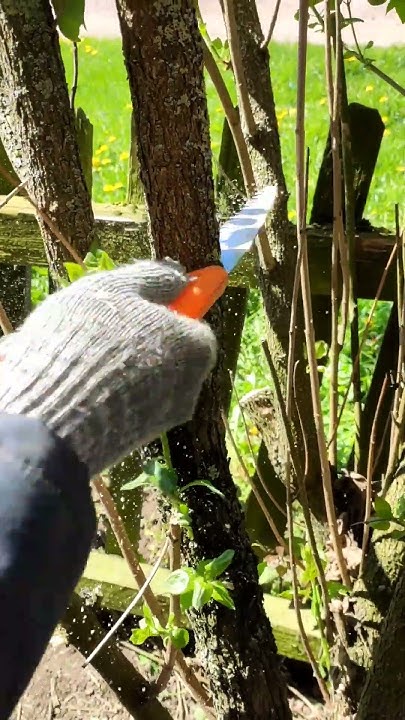 Ручная садовая пила для обрезки веток за 1$ - YouTube