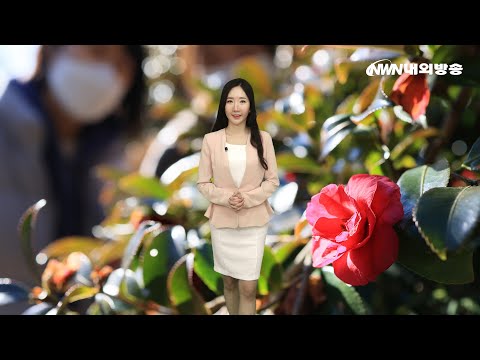 [날씨] '입춘' 무색할 강추위...주말까지 이어져