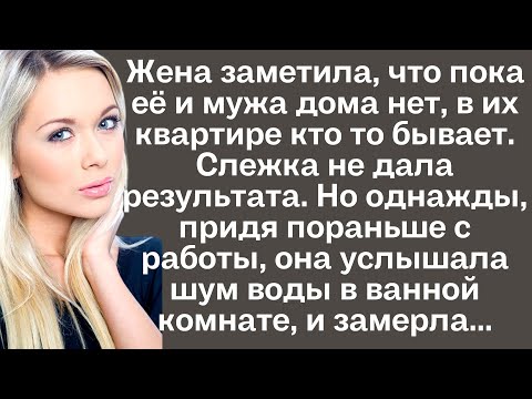 Жена заметила, что пока её и мужа дома нет, в их квартире кто то бывает. Слежка не дала результата..