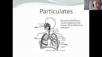 Particulate Matter Pollution