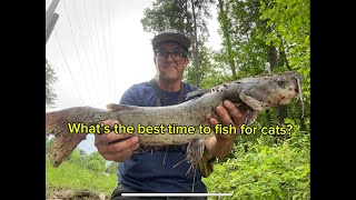 Catfish after a storm! *BONUS* Red beans and rice, and catfish nuggets