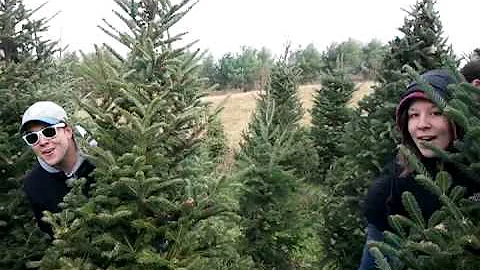 Christmas tree hunting with the family