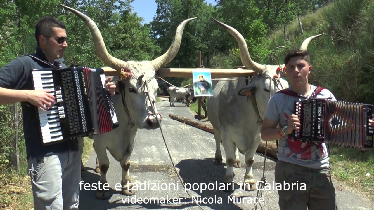 tarantella alla festa di S  Antonio 2015-Laino Borgo(CS)
