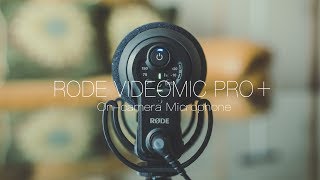 RODE VideoMic Pro+ PLUSと格安マイクVideoMicroを比較！【一眼レフマイク】