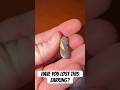 #metaldetecting #lostandfound #shortsvideo #earring #earrings #treasure #jewelry #fyp #viralshorts