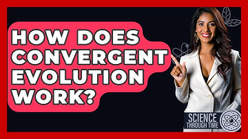 How Does Convergent Evolution Work? - Science Through Time